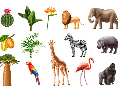 Africa animals birds flora set animal bird flora illustration realistic tropical vector