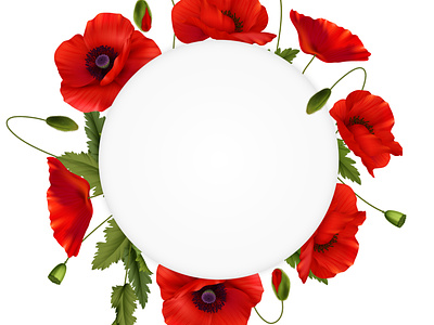 Remembrance day composition blossom flower illustration poppy realistic template vector