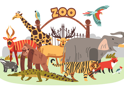 Zoo composition africa animal flat illustration vector wildlife zoo