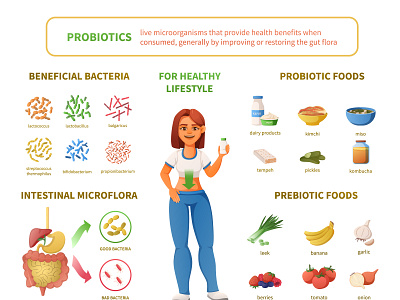 Probiotics infographics cartoon illustration nutrition prebiotic probiotic stomach vector