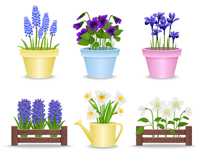 Spring flowers in pots set flower illustration plant pots realistic springtime vector