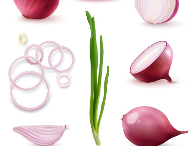 Red onion set harvest illustration onion realistic vector vegetable vitamin