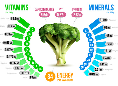 Broccoli nutrients infographics broccoli illustration mineral nutrition realistic vector vitamin