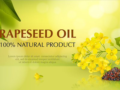Rape canola poster canola herbal illustration oil protein realistic vector