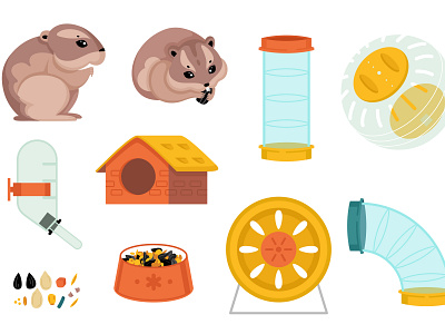 Hamster cage constructor set accessory cage flat hamster illustration pet vector wheel