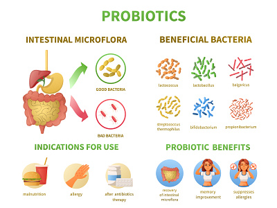 Probiotics infographics cartoon fermentation illustration nutrition probiotic vector