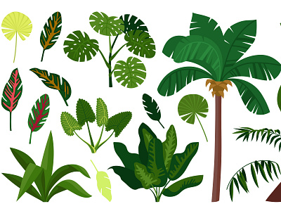 Jungle plant icon set exotic flat illustration jungle plant tropical vector
