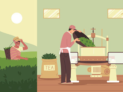 Tea production compositions set