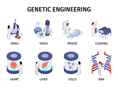 Genetic engineering set