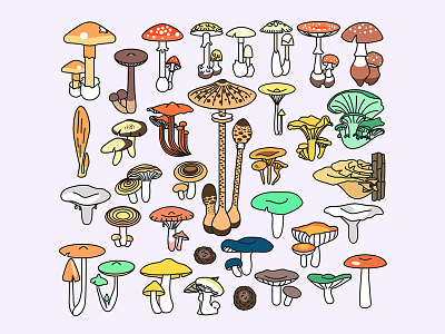 Champignons contour illustration line mushroom mushrooms