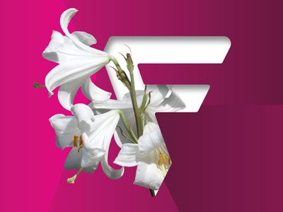 F for Fresh art direction design flowers fresh logo