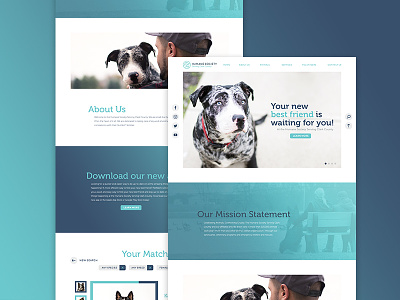 Humane Society Concept canines dogs humane society uiux design web design