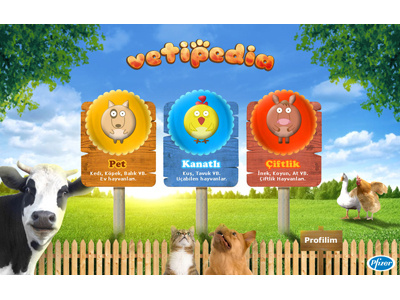 Vetipedia game interface pet vet