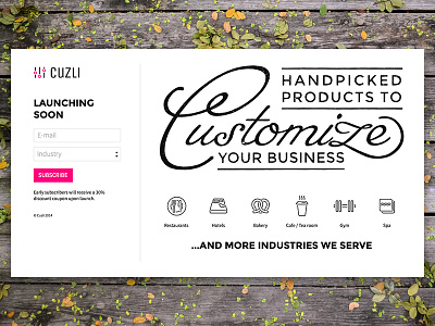 Landing page for Cuzli icons illustration landing lettering logo ui web design