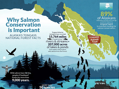 Infographic Design For Salmon Conservation conservation environmental graphics graphic design infographic infographic design