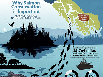 Salmon Forest Infographic Design conservation environment infographic infographic design salmon