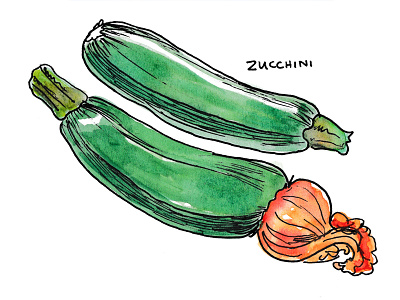 Zucchini Vegetable Garden Illustration - Watercolor & Ink