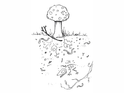 Mushrooms And Soil Illustration By Idelle Fisher earthworms garden gardening mushrooms mycelium soil