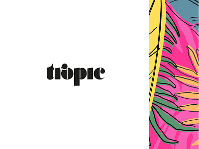 Tropic Studios Branding