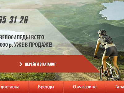 Nice view ) design draft for sports equipment website web web design website