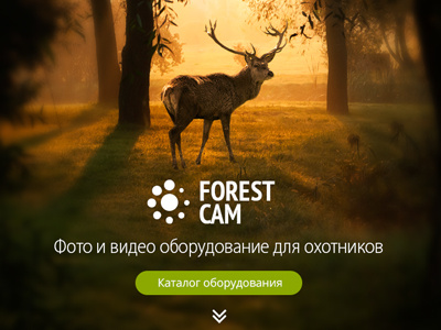 Frontpage teaser for Forestcam website web web design