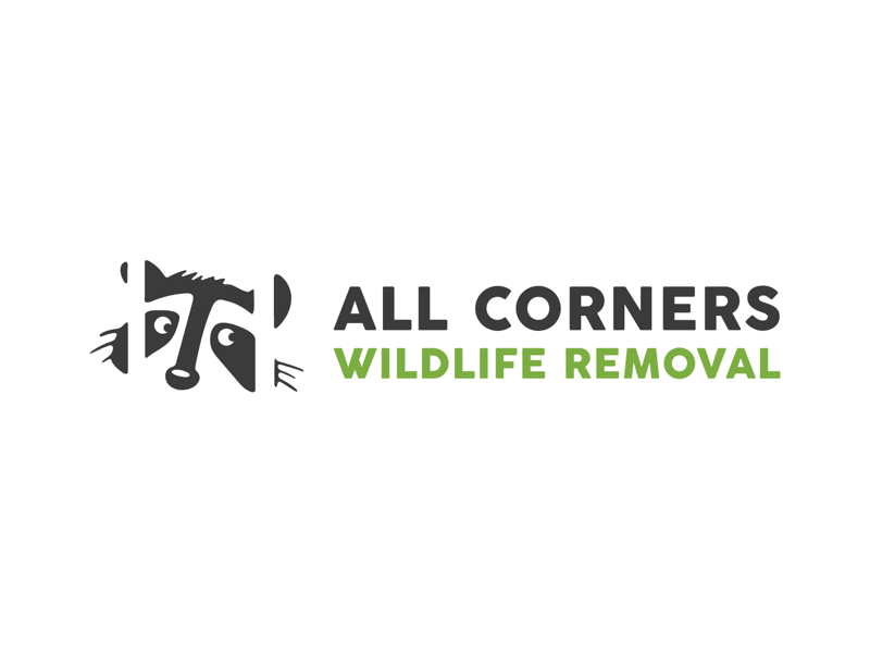 Logo refinement for ACWR by Adi Picograf on Dribbble