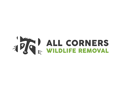 Logo refinement for ACWR animal logo raccoon