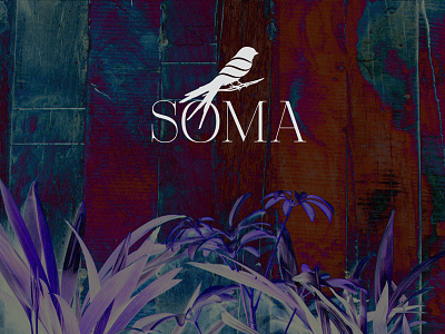 Soma book clleanc coffee gastropub identity library logo shop soma station wine