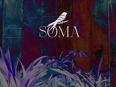 Soma - logo for lingerie by Flexy Global on Dribbble