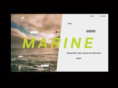 F-TEAM Website Preview / Marine brand clleanc design identity logistic prishtina transport ui ux website