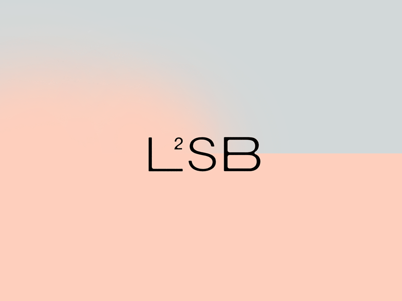 L2SB berin berinhasi branding identity clleanc concept l2sb logo prishtina studios symbol uk