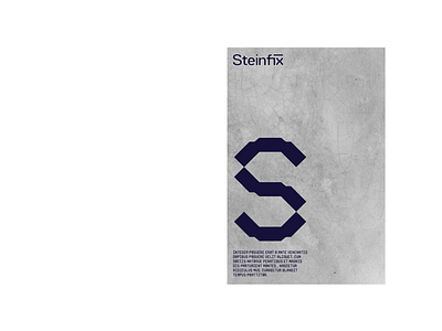 Steinfix Package berin berinhasi brand identity logo prishtina steinfix typeface zyre