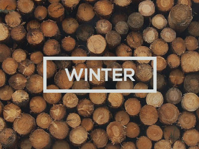 Winter cold font logo logs nexa season type winter wood