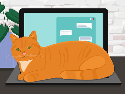 Ginger cat on a laptop cat cat lovers cat on the laptop cute fluffy ginger home illustration laptop red whiskers working from home workplace