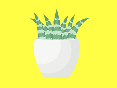 Succulent Plant illustrator vector