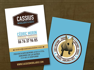 Cassius Card 02 graphic design logotype