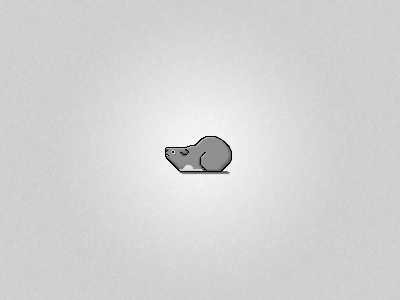 Gray Cobayo friends guinea pig illustration pet pixel sprite
