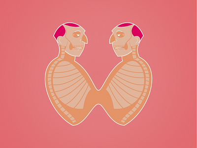 Conjoined Twins anomaly bones illustration man medical pink skeleton