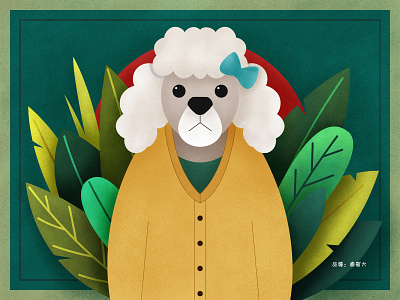 The poodle design illustration ui 设计