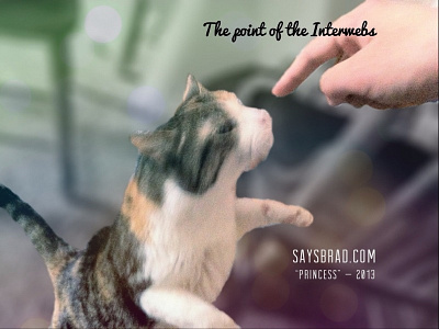 Internet is for the cats apps cat experimental ios ipad madewithover type