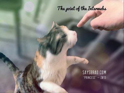 Internet is for the cats