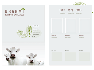 Product catalog for a cattle feed company adobe catalog design designs graphic design illustration illustrator vector