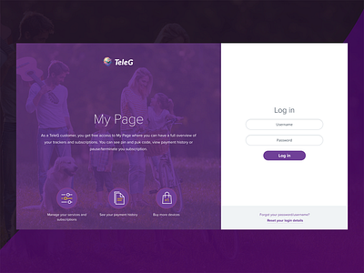 Login Page design flat icon ui website