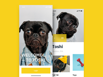 Dog Shopping App app design dog ecommerce fashion ios iphone minimal mobile pet pug puppy shopping shopping app typography ui ui design ui ux дизайн приложение