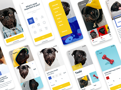 Dog Shopping App app data design dog ecommerce fashion ios iphone minimal mobile pet pug puppy shopping typography ui ui design ui ux дизайн приложение