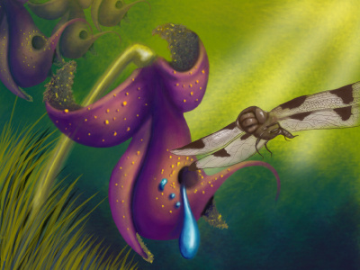 Dragonfly And Flower digital art