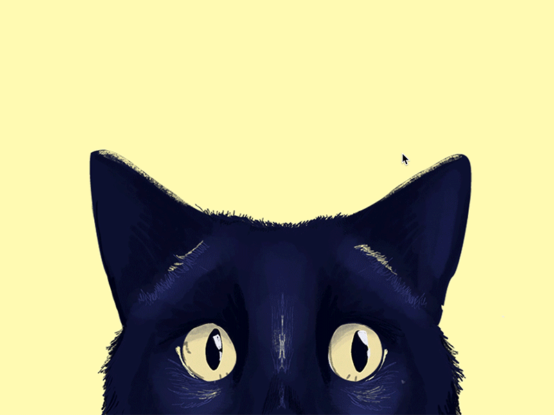 Play cat—Interactive Illustration animated illustration animation animation 2d cat cat illustration coding creative coding editorial illustration freelance designer freelance illustrator gif gif art interactive art interactive illustration processsing