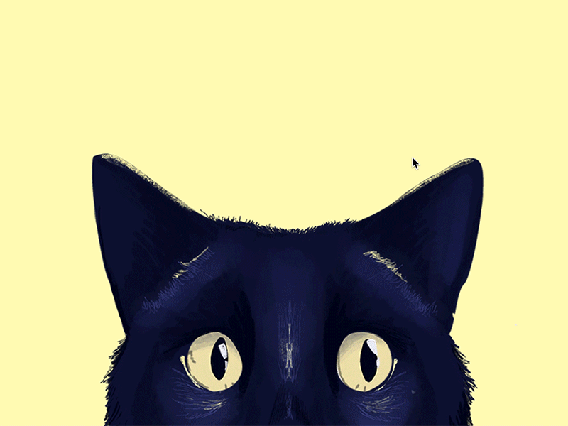 Play cat—Interactive Illustration