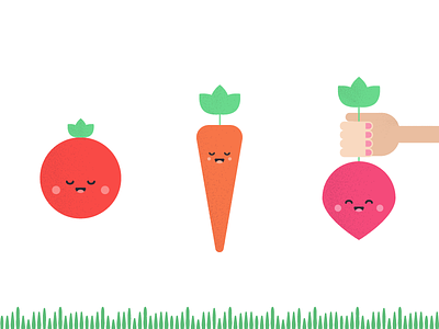 Veggie Characters carrot community garden illustration radish tomato vegetables veggies