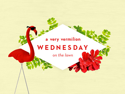 Vermilion Wednesdays